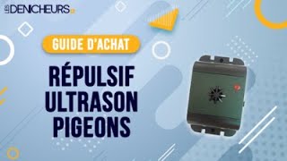 👓 MEILLEUR RÉPULSIF ULTRASON À PIGEON  Comparatif amp Guide dachat [upl. by Holzman]