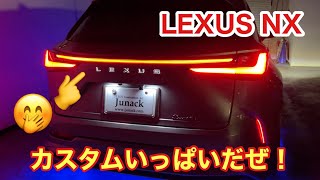 LEXUS NX カスタムいっぱい！夢いっぱい！文字光らせたり、アンビエント光らせたり、ブルーアイ加工したり！もー見てみて！！ [upl. by Nehtanoj346]