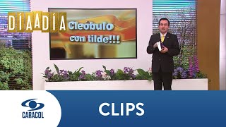 ¿Se dice junto a o junto con El profesor Cleóbulo te explica  Caracol TV [upl. by Rogovy]