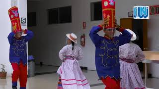 DANZA LOS NEGRILLOS DE AREQUIPA [upl. by Lyman649]