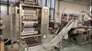 Automatic multilane Packaging Machine amp Automatic Cartoning Machine Assembly Line Manufacturer [upl. by Airres]