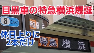 【ダイヤ改正】東急目黒線車両による特急相鉄横浜ゆきが誕生しました。 [upl. by Myer]