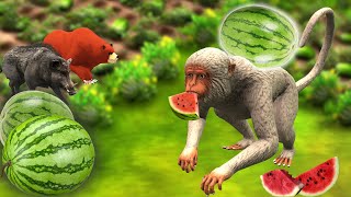 बंदर तरबूज चोर  बंदर की कहानी Bandar Tarbooj Chor Kahani Monkey Watermelon Thief Hindi Moral Story [upl. by Alet]