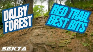 DALBY FOREST MTB💥Full Red Trail [upl. by Adalia]