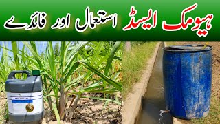 What is humic acid and benefits of humic acid fertilizer [upl. by Meluhs]