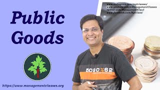 Public Goods in Hindi [upl. by Juline]