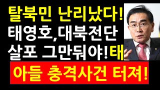 김영호장관탈북민들 난리났다 태영호 대북전단 살포 그만둬야 태영호 아들 충격사건 터져 [upl. by Hazeghi929]