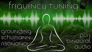 Grounding Frequencies  Schumann Resonance 783 Hz amp Solfeggio  Pure Binaural  Frequency Tuning [upl. by Koorb]