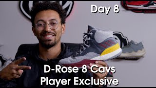 Adidas DRose 8 Cavs Player Exclusive [upl. by Anrahs]