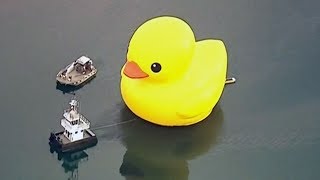 Taxpayers frustrated over cost of Torontos big rubber duck [upl. by Latsyrhc]