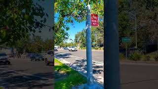 Cupertino DiariesA Variety Of Architecture travelvlog Cupertino city California travel [upl. by Golub985]