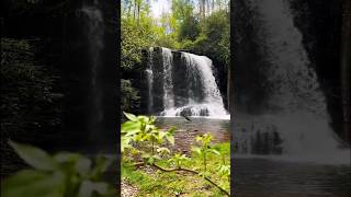 Lower Bearwallow Falls  Gorges State Park  NC [upl. by Averyl660]