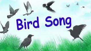 1 Hour of Relaxing Bird Songs in Wood Birds Chirping [upl. by Jordans]