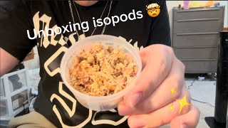 Unboxing ISOPODS [upl. by Ydoow]