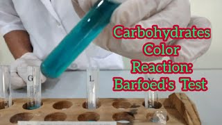 Carbohydrates Color Reaction Barfoeds Test [upl. by Esirtal]