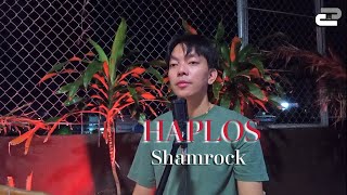 HAPLOS  SHAMROCK  JEY JEY JAMITO COVER [upl. by Holden75]