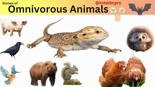 Omnivore Animals name for Kids सर्वहारा जानवरों के नामkidsKBCpro omnivores animals learning [upl. by Evelyn]