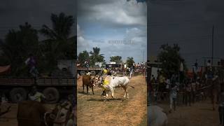 Kalaigal pasam💞mandidhargal kitta illa😰uyire eruthukattu🔥💯 [upl. by Adihsaar]