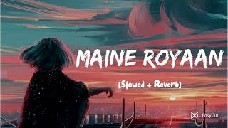 Maine Royaan lofi remix song [upl. by Naraj636]