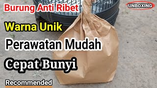 Burung Yang Perawatanya Mudah amp Cepat Bunyi Cocok Untuk Ocehan Di Rumah 🐦  UNBOXING [upl. by Limay]