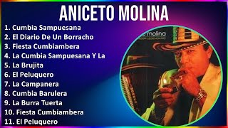 Aniceto Molina 2024 MIX Grandes Exitos  Cumbia Sampuesana El Diario De Un Borracho Fiesta Cum [upl. by Dnalyram]