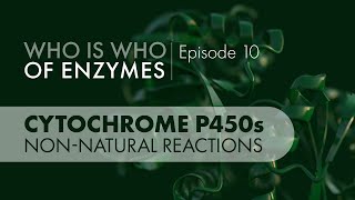 Who Is Who of Enzymes Cytochrome P450 Monooxygenases Nonnatural Reactions [upl. by Maharva465]