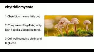 Chytridiomycotachytridiomycota fungi [upl. by Creamer952]