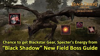 Black Shadow New Field Boss Guide Chance to get Blackstar Gear Specters Energy Black Desert [upl. by Airaet]