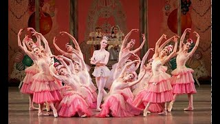 Tchaikovsky  Waltz of the Flowers  The Nutcracker [upl. by Thirza]