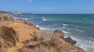 A glimpse of Sandringham Beach Melbourne [upl. by Henni]