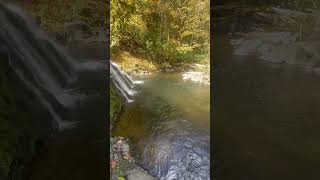 Dos Equis  Amber for this early autumn hike 🍺 pnw hiking adventuretravel waterfall beer [upl. by Atokad]