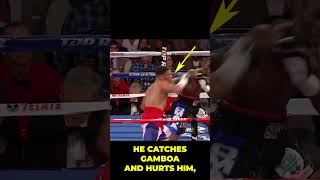 TERENCE CRAWFORD DROPS GAMBOA terencecrawford gamboa boxing [upl. by Ennove294]