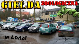 Giełda ZOOLOGICZNA w Łodzi 🐍 skąd ta popularność [upl. by Halstead]