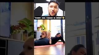 quotFunny Dog videos in 2024quot 🤣🤣🤣 funny funnyvideos dog [upl. by Conte536]