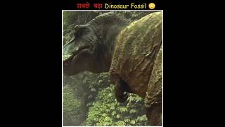 The Largest Dinosaur Fossil Ever Discovered on Earth [upl. by Annet]