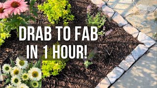 Drab to fab Flower bed Transformation in 1 hour Cat’s Meow Catmint  Sunseeker echinacea [upl. by Lorinda]