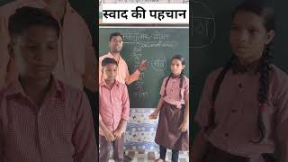 taste based activity  स्वाद आधारित गतिविधि activity Siyaramsir sarkarischool [upl. by Prichard]