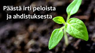 🌱 Terapeuttinen meditaatio  Peloista ja ahdistuksesta kärsiville [upl. by Lucania]