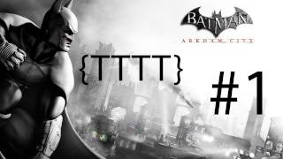 Batman Arkham City  Walkthrough Gameplay  Part 11 HD X360PS3PC [upl. by Marcellina]