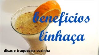 beneficios da semente da linhaça canal chantilly com chocolate [upl. by Alat160]