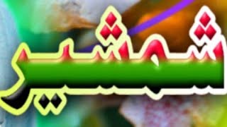 Gul Zaib Aseer Voleem 47 Song 03 [upl. by Maclay539]