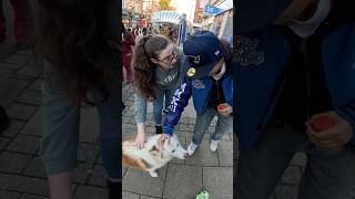 Interactions with my dog doglover husky viral fyp pets dogsofinstagram dogshorts dog [upl. by Tinya]