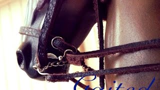 Breyer horse movie Gaited Ep 2 quotReturnquot 900 Subs [upl. by Sirkin]