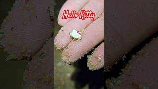 Metal Detecting Beach Find Hello Kitty kawaii metaldetecting beach hellokitty Gold noktalegend [upl. by Balduin497]