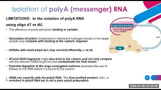 nucleic acid extraction methods part 2 [upl. by Ecnerrot]