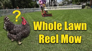 Reel Mowing Lawns  The Full Lawn Cut [upl. by Loferski]