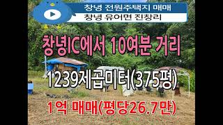 n838 창녕 유어면 진창리 전원주택지 1239제곱미터375평 매매 평당267만 문의01047507880 창녕땅 창녕토지 전원주택지 [upl. by Lankton]