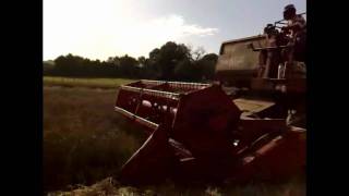 moisson  Massey Ferguson 530 L  Alligny sur Loire  Pierre Borderieux [upl. by Oates]