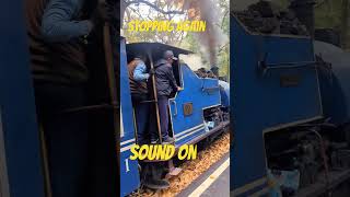 Darjeeling Rail steam loco in action darjeelinghimalayanrailway train travel railway [upl. by Lanni455]