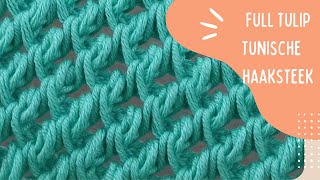 SUPER EASY   Full Tulip steek Tunisch haken  How to Tunisian Crochet [upl. by Gabriele611]